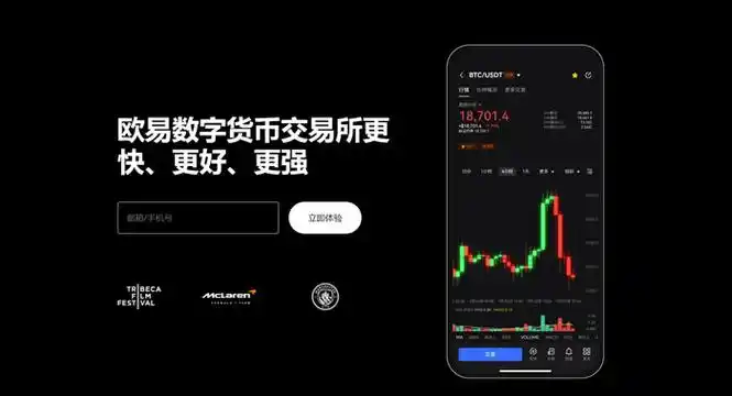 派币平台展示图